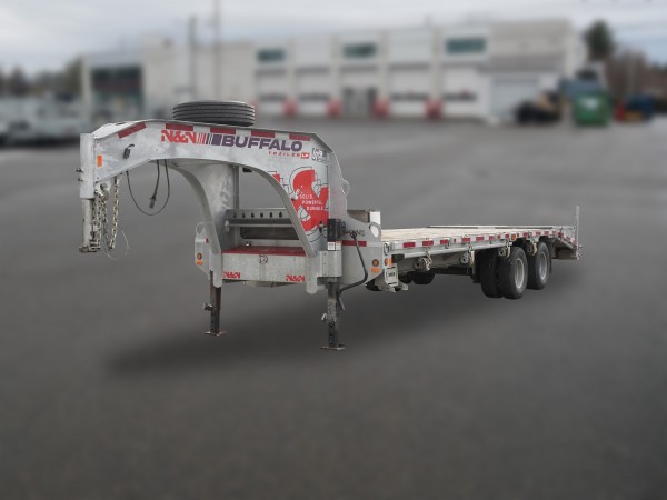 N&N DOG 102x25 G - 24K